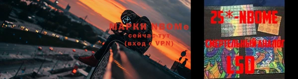 гидра Алзамай