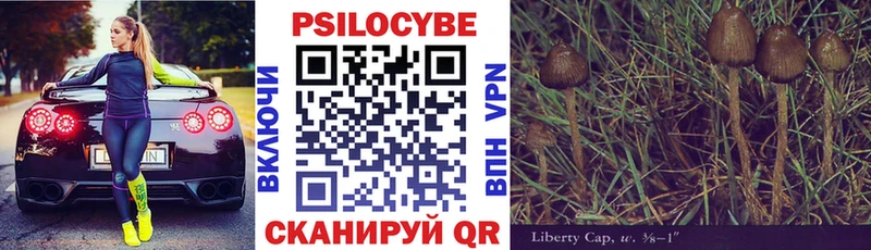 blacksprut вход  Ардатов  Псилоцибиновые грибы мицелий 
